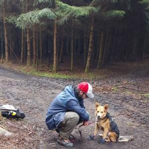 Die Hundeschule im Holzland