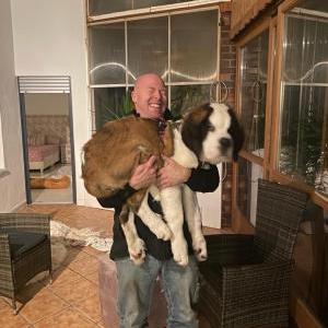 Die Hundeschule im Holzland