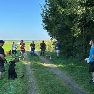 Die Hundeschule im Holzland