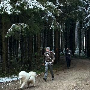 Die Hundeschule im Holzland