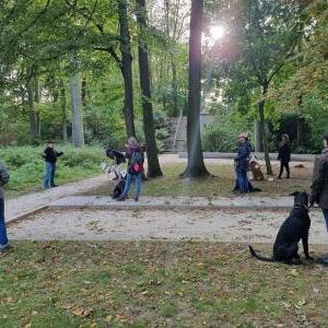 Die Hundeschule im Holzland