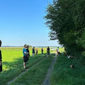 Die Hundeschule im Holzland