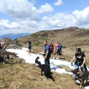 Die Hundeschule im Holzland