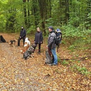 Die Hundeschule im Holzland