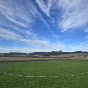 Die Hundeschule im Holzland