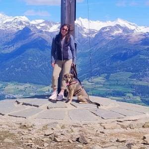 Die Hundeschule im Holzland