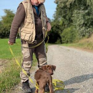 Die Hundeschule im Holzland